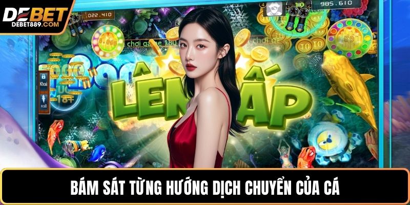 Bám sát từng hướng dịch chuyển của cá