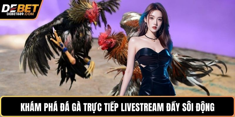 Khám phá đá gà trực tiếp livestream đầy sôi động